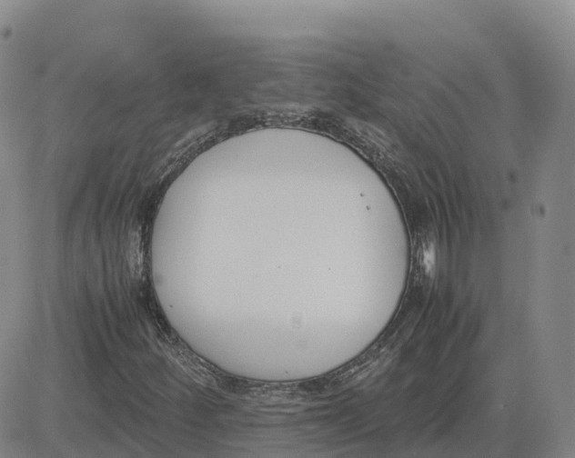 X0000083011252200702231803