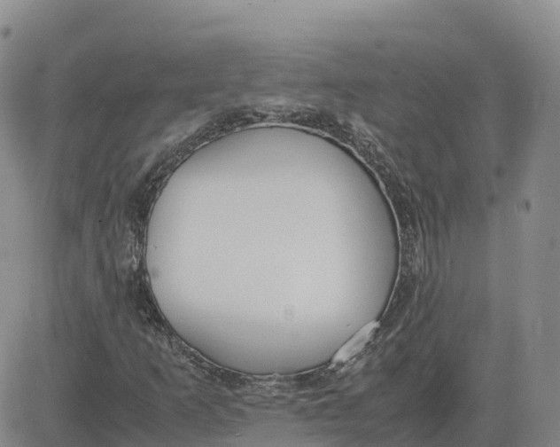 X0000083011253200702231803