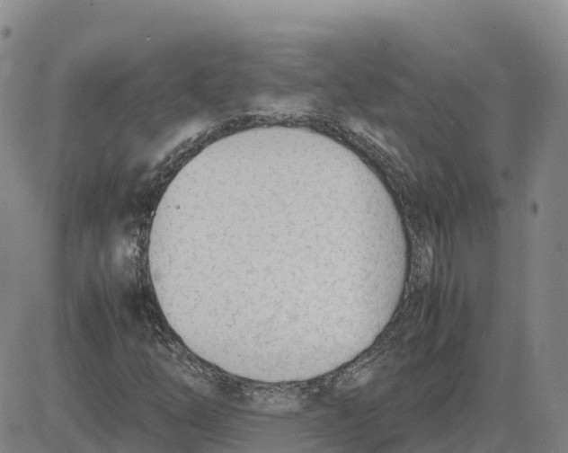 X0000083011254200702231803