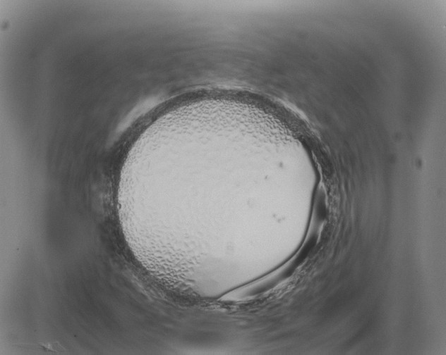 X0000083011255200702231803