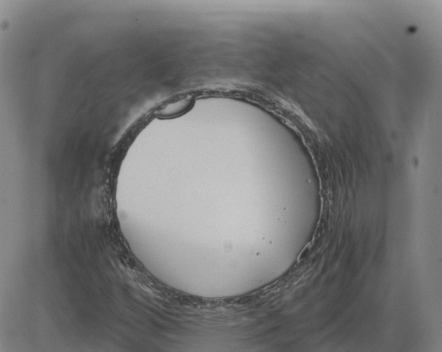 X0000083011256200702231803