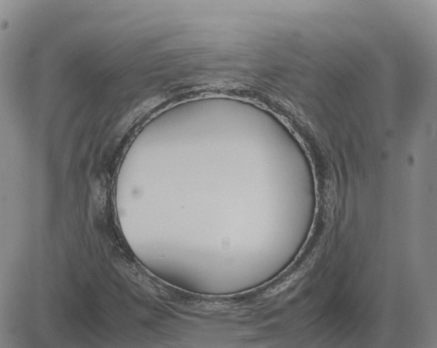 X0000083011257200702231803