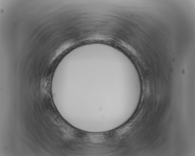 X0000083011258200702231803