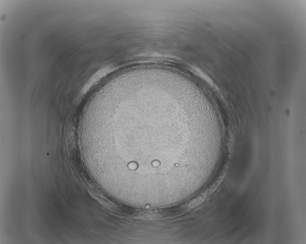 X0000083011259200702231803