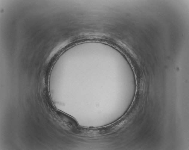 X0000083011261200702231803