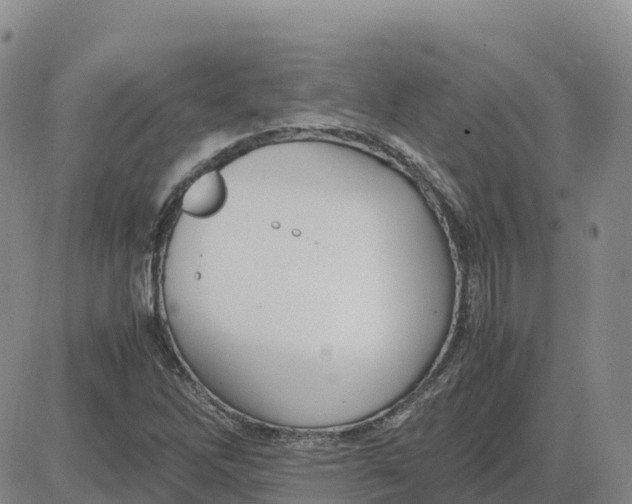 X0000083011262200702231803