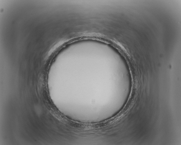 X0000083011263200702231803