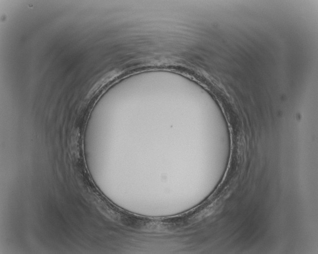 X0000083011265200702231803