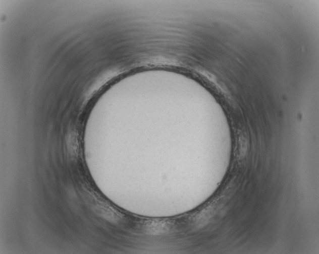 X0000083011266200702231803