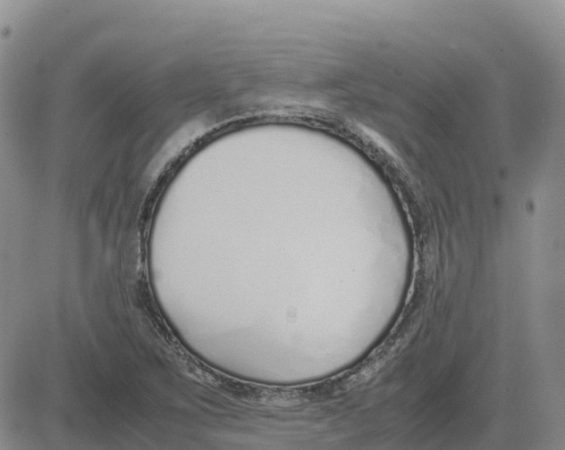 X0000083011267200702231803