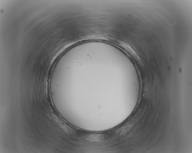 X0000083011268200702231803