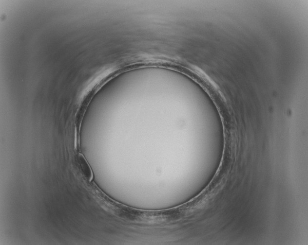 X0000083011269200702231803