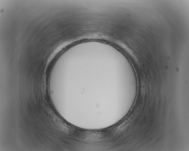 X0000083011270200702231803