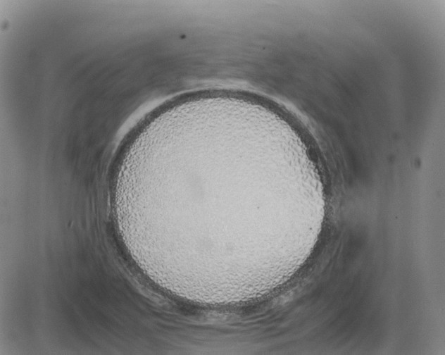 X0000083011271200702231803