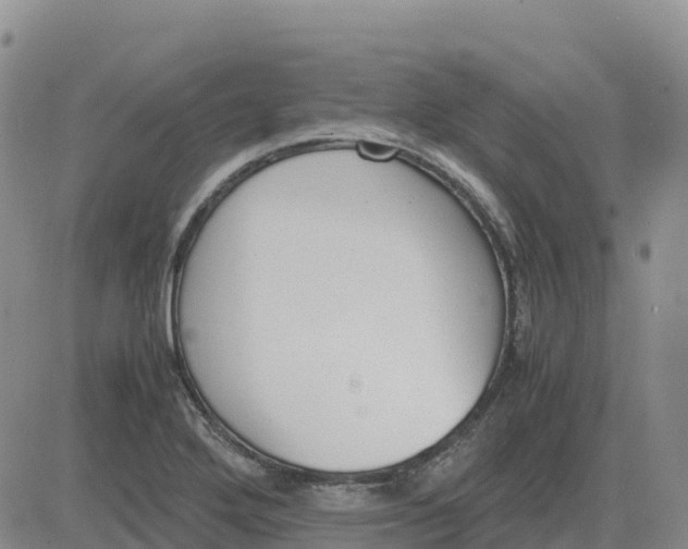 X0000083011272200702231803