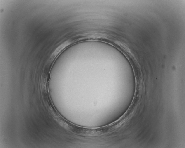 X0000083011273200702231803