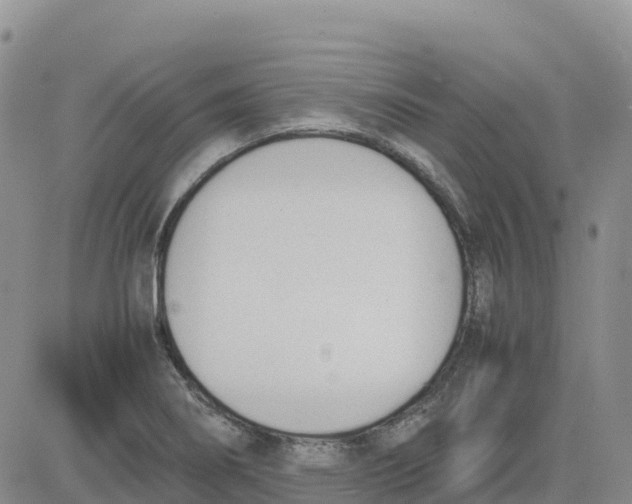 X0000083011274200702231803