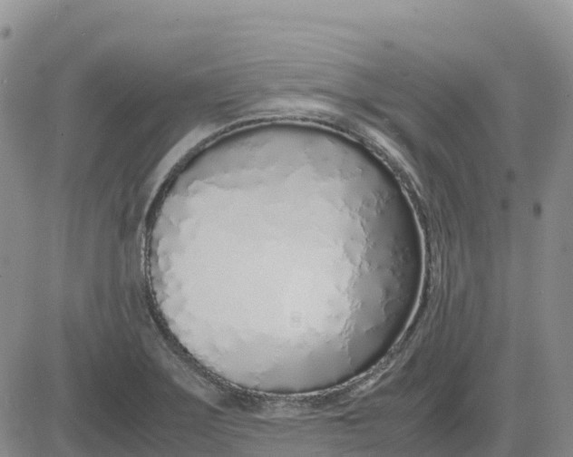 X0000083011275200702231803