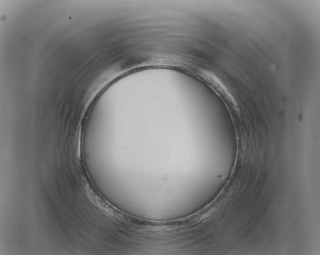 X0000083011276200702231803