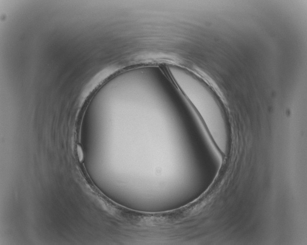 X0000083011277200702231803