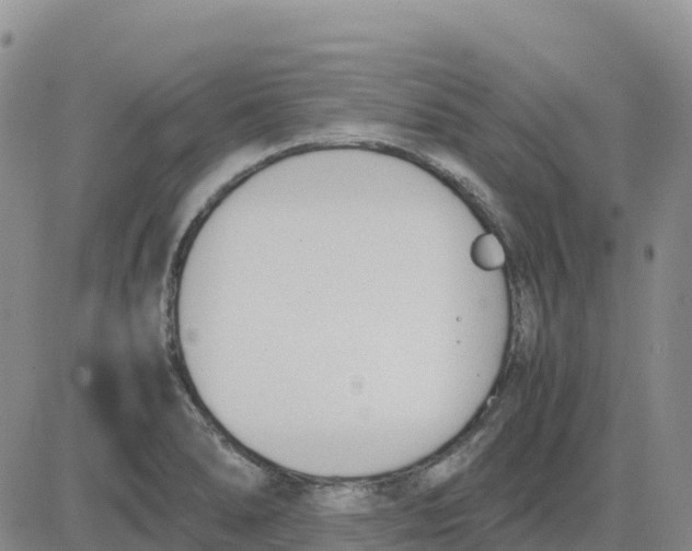 X0000083011278200702231803