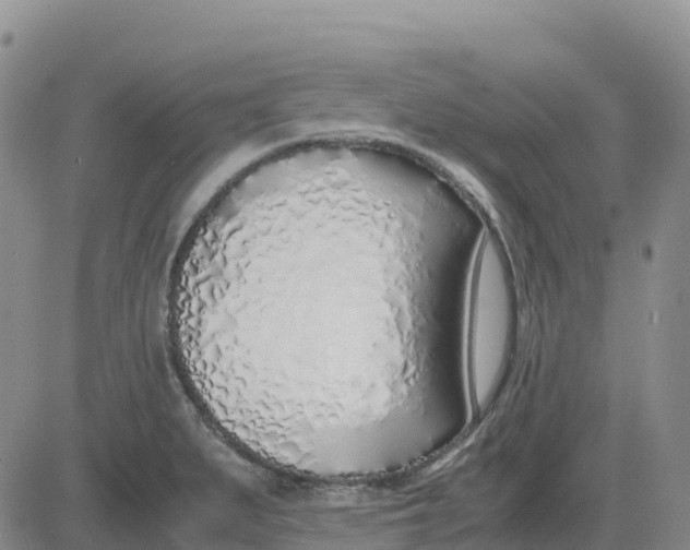 X0000083011279200702231803