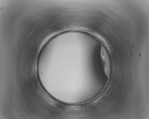 X0000083011280200702231803