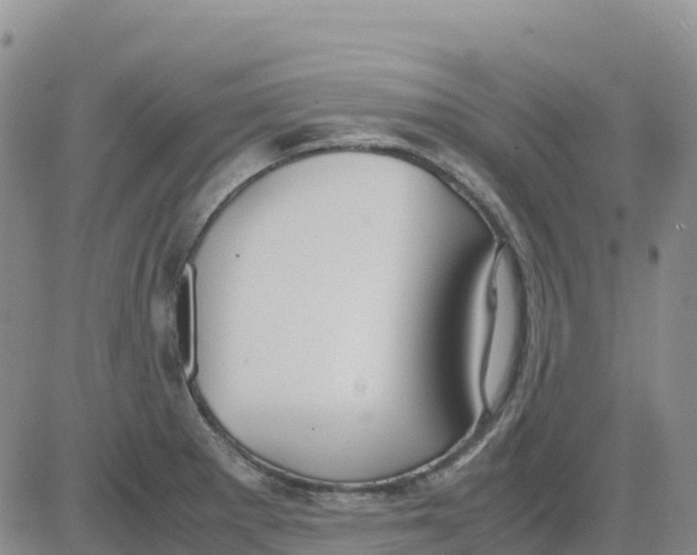 X0000083011281200702231803