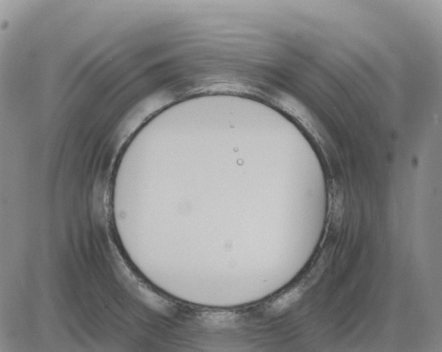 X0000083011282200702231803