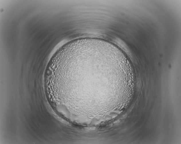 X0000083011283200702231803