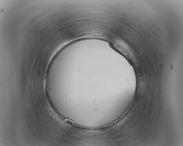 X0000083011284200702231803