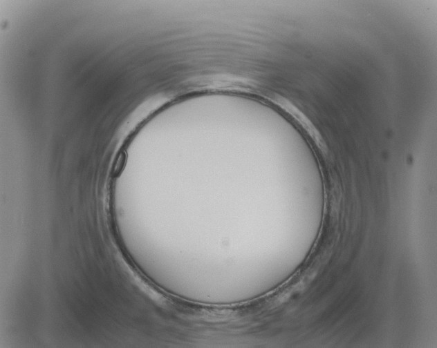 X0000083011285200702231803