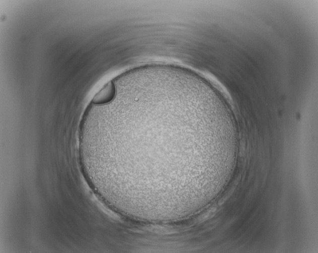 X0000083011287200702231803