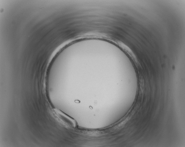 X0000083011288200702231803