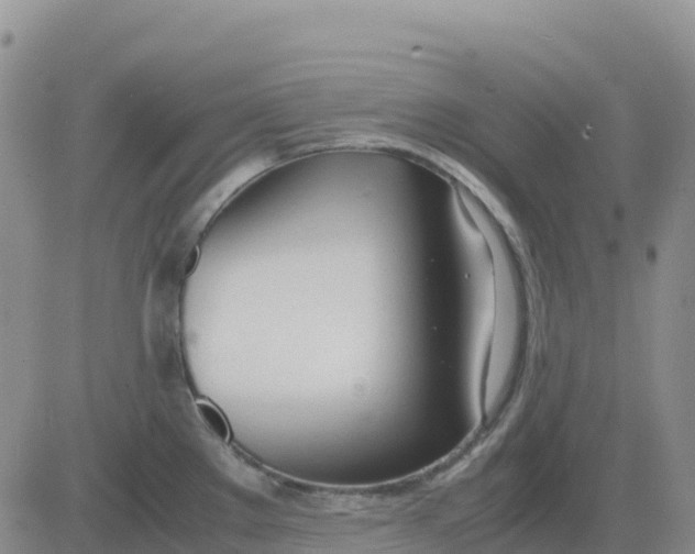 X0000083011289200702231803