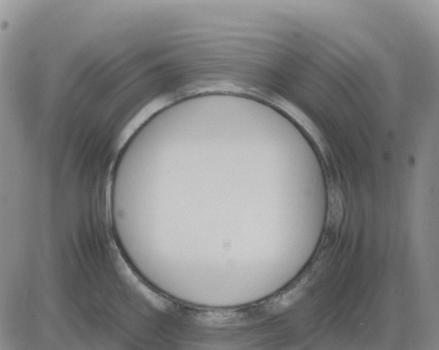 X0000083011290200702231803