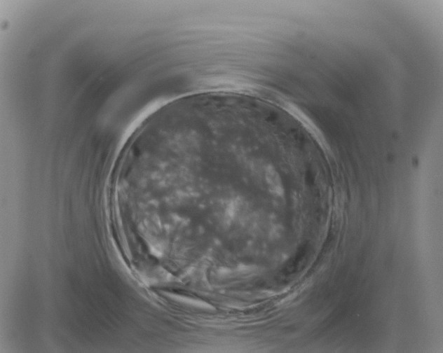 X0000083011291200702231803