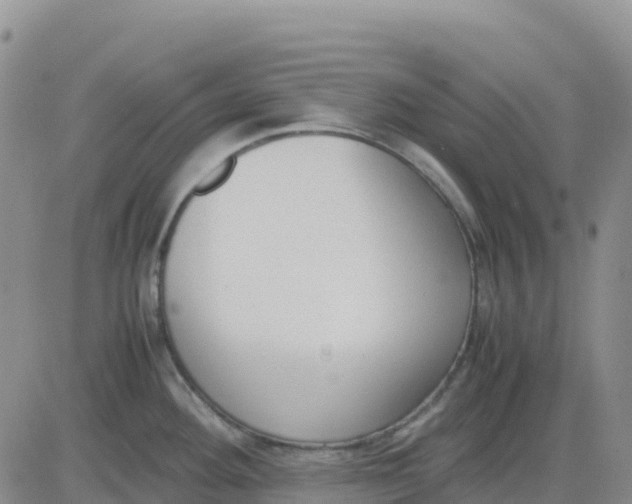 X0000083011292200702231803