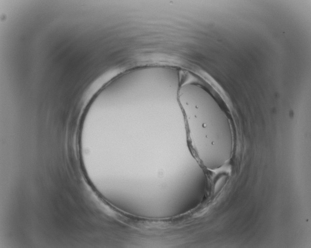 X0000083011293200702231803