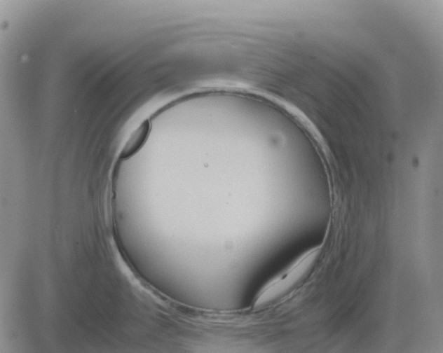 X0000083011295200702231803