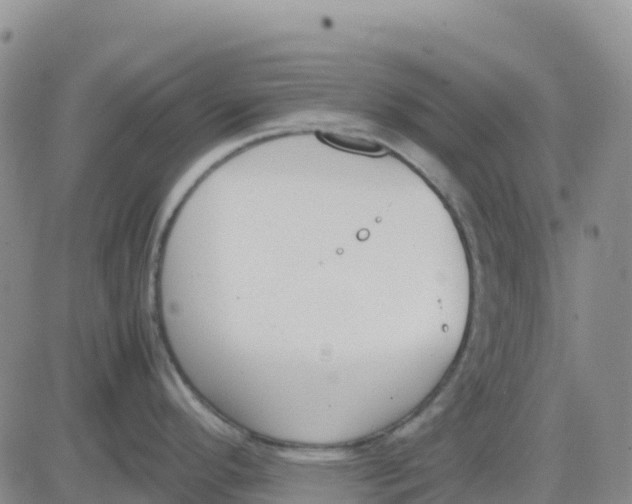 X0000083011296200702231803