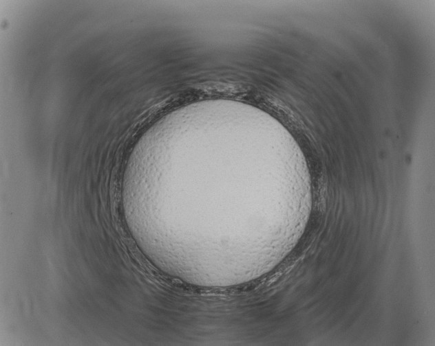 X0000083011297200702231802