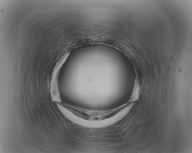 X0000083011298200702231802