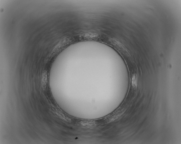 X0000083011299200702231802