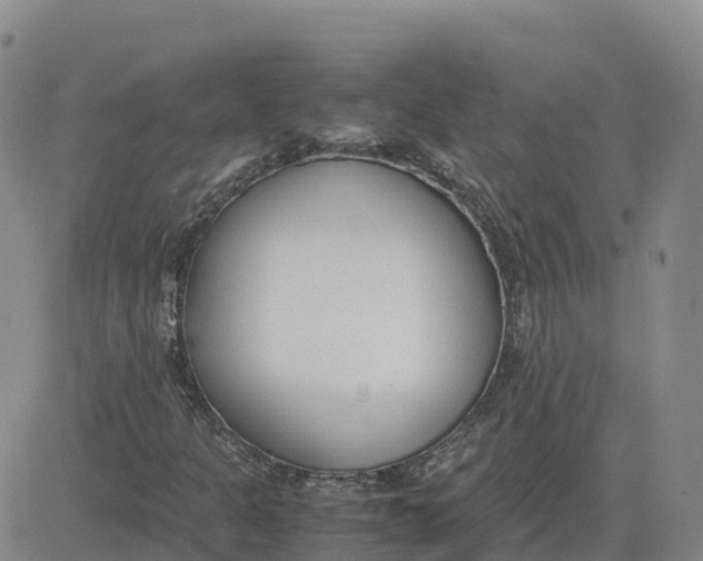 X0000083011301200702231802