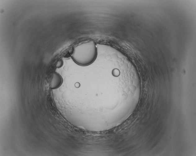 X0000083011302200702231802