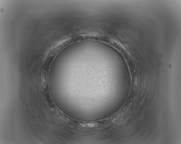 X0000083011303200702231802