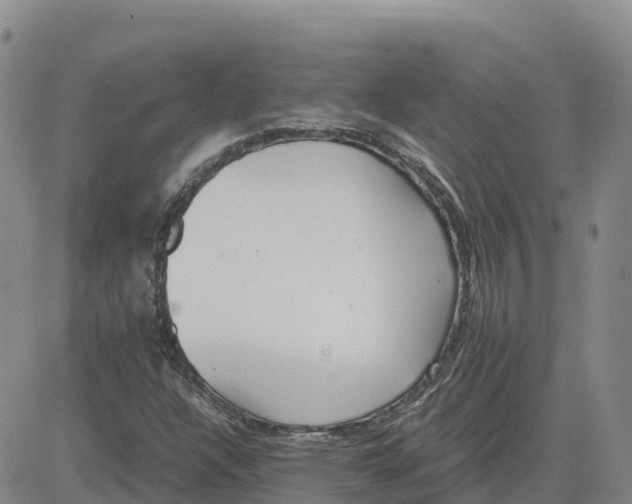 X0000083011304200702231802