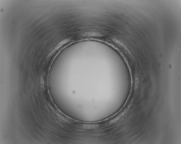 X0000083011305200702231802