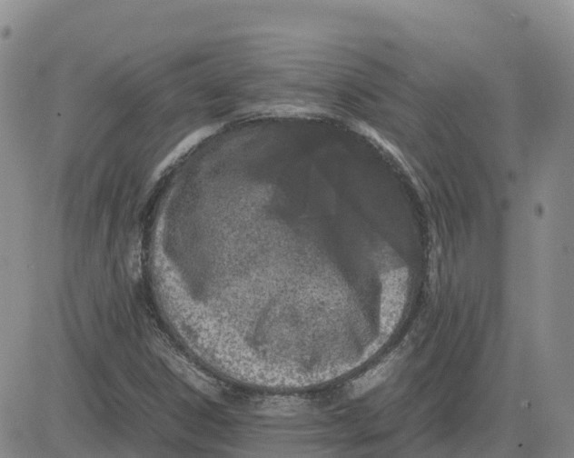 X0000083011306200702231802